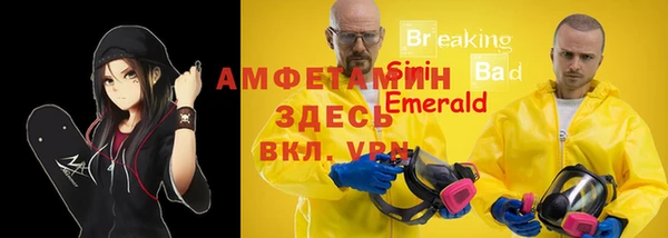 ECSTASY Гусев